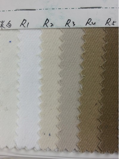 DG-RGFA  全棉加厚斜紋磨毛  C/C108*56 後面照